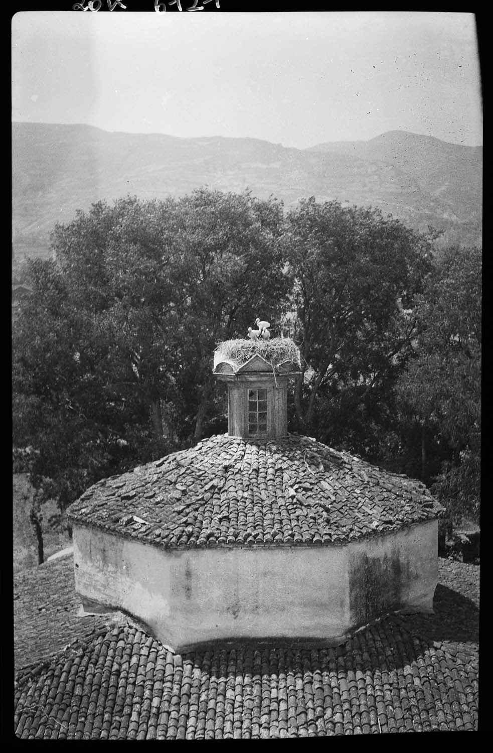 Clocheton de la toiture